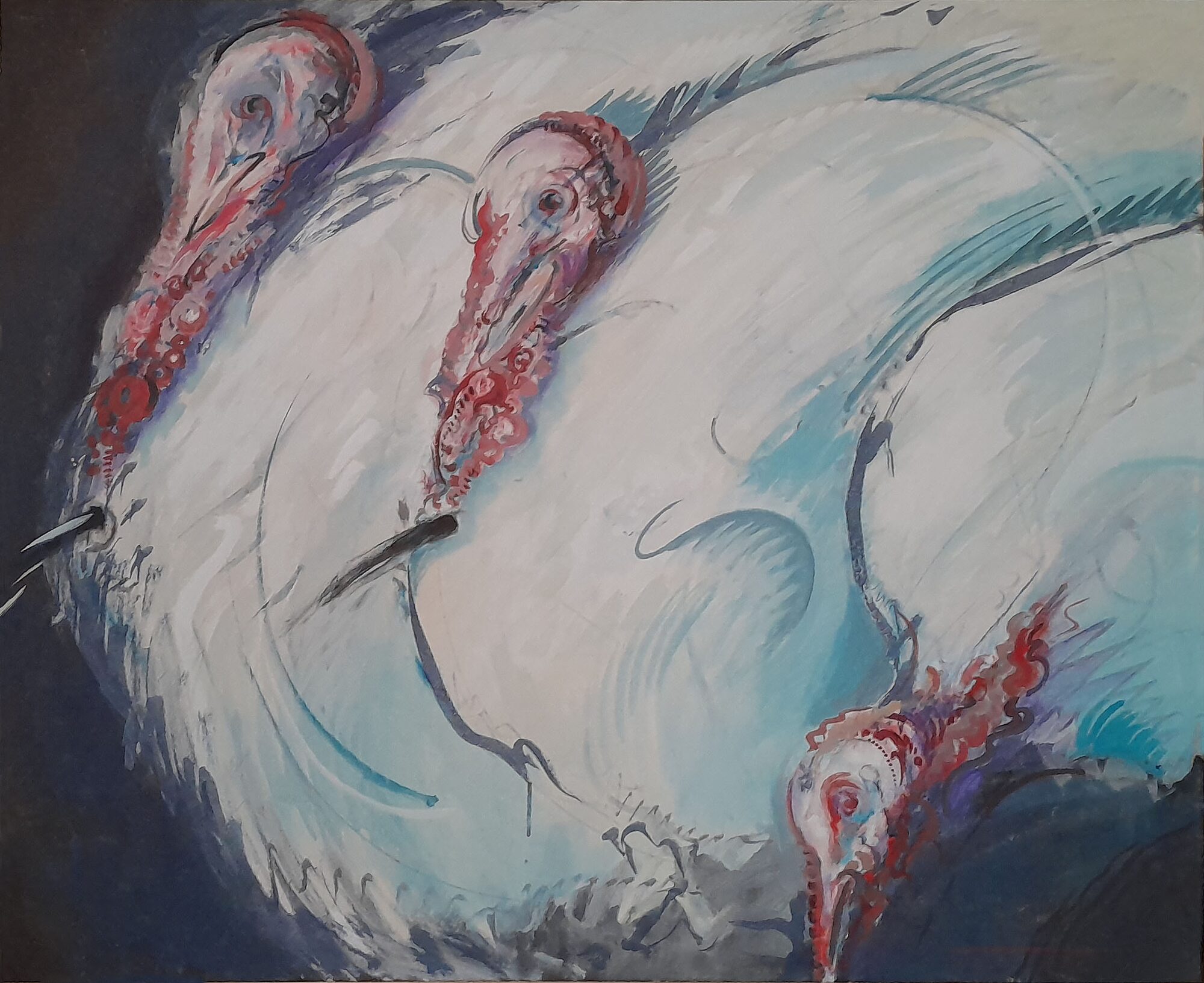 Pavos